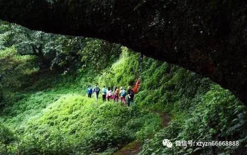 注意躲避