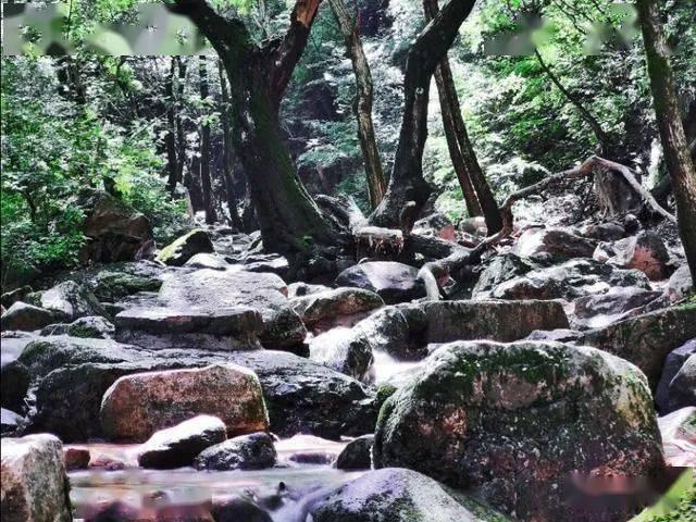 大富翁9
